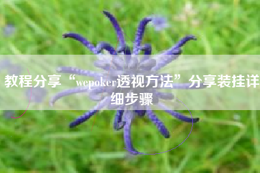 教程分享“wepoker透视方法	”分享装挂详细步骤