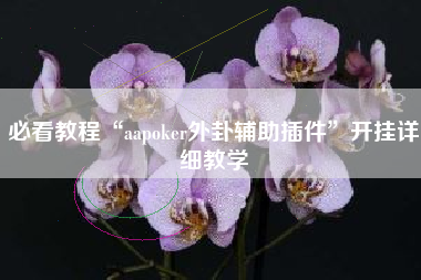 必看教程“aapoker外卦辅助插件	”开挂详细教学