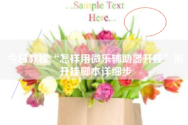 今日教程“怎样用微乐辅助器开挂”附开挂脚本详细步