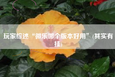 玩家综述“微乐哪个版本好用”(其实有挂)