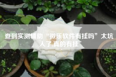 查到实测辅助“微乐软件有挂吗	”太坑人了,真的有挂