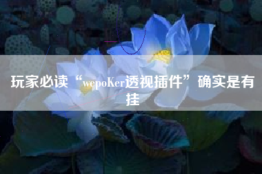 玩家必读“wepoKer透视插件”确实是有挂