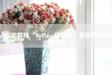 指定教程“WePoker辅助器”最新开挂内幕曝光