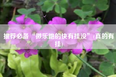 推荐必备“微乐跑的快有挂没	”(真的有挂)