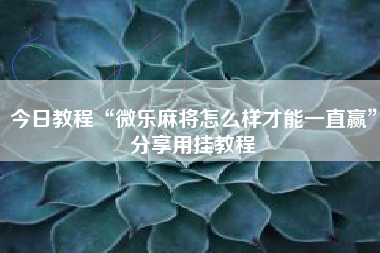 今日教程“微乐麻将怎么样才能一直赢”分享用挂教程