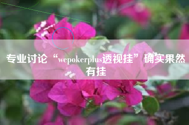 专业讨论“wepokerplus透视挂”确实果然有挂