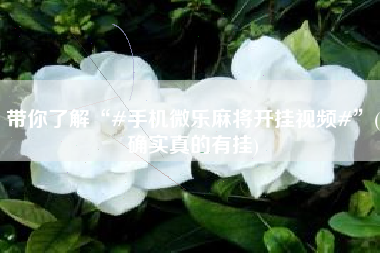 带你了解“#手机微乐麻将开挂视频#”(确实真的有挂)