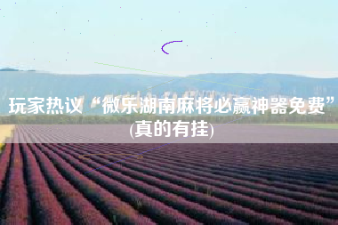 玩家热议“微乐湖南麻将必赢神器免费”(真的有挂)