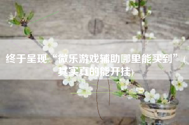 终于呈现“微乐游戏辅助哪里能买到	”(其实真的能开挂)