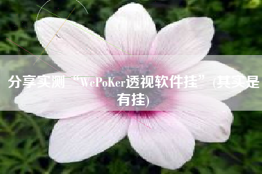 分享实测“WePoKer透视软件挂”(其实是有挂)