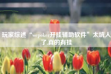 玩家综述“wepoker开挂辅助软件”太坑人了,真的有挂