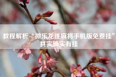 教程解析“微乐龙江麻将手机版免费挂”其实确实有挂