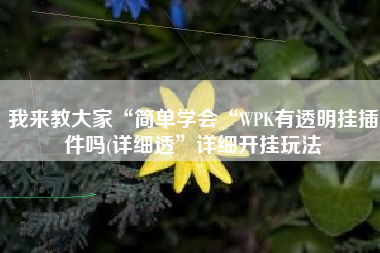 我来教大家“简单学会“WPK有透明挂插件吗(详细透	”详细开挂玩法
