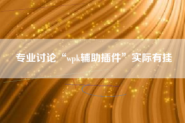 专业讨论“wpk辅助插件”实际有挂