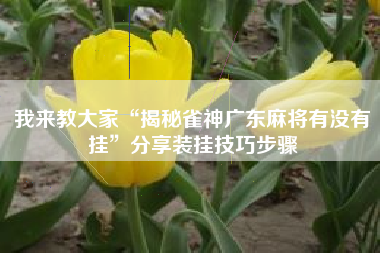 我来教大家“揭秘雀神广东麻将有没有挂”分享装挂技巧步骤