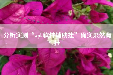 分析实测“wpk软件辅助挂	”确实果然有挂