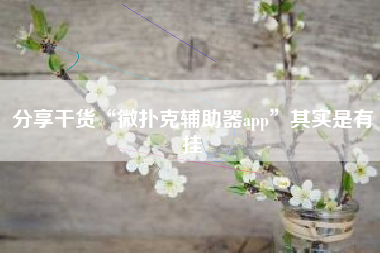 分享干货“微扑克辅助器app	”其实是有挂