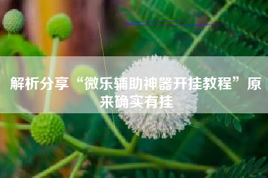 解析分享“微乐辅助神器开挂教程	”原来确实有挂