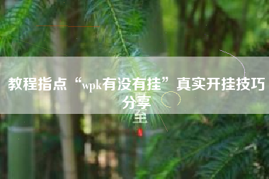 教程指点“wpk有没有挂”真实开挂技巧分享