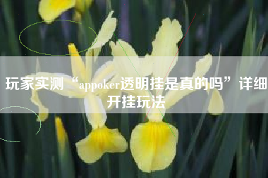 玩家实测“appoker透明挂是真的吗”详细开挂玩法