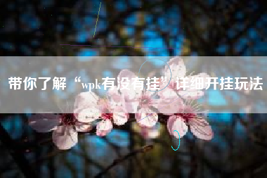 带你了解“wpk有没有挂”详细开挂玩法