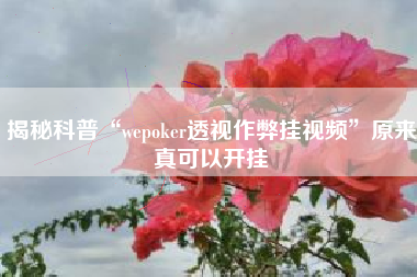 揭秘科普“wepoker透视作弊挂视频”原来真可以开挂