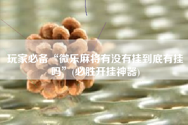 玩家必备“微乐麻将有没有挂到底有挂吗	”(必胜开挂神器)