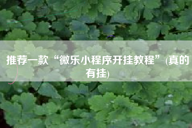 推荐一款“微乐小程序开挂教程”(真的有挂)