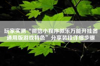 玩家实测“微信小程序微乐万能开挂器通用版游戏特色	”分享装挂详细步骤