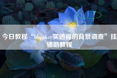 今日教程“hhpoker买透视的背景调查”挂辅助教程