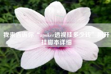 我来告诉你“apoker透视挂多少钱”附开挂脚本详细