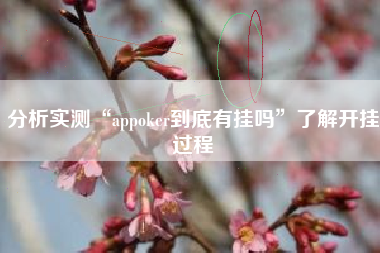 分析实测“appoker到底有挂吗”了解开挂过程