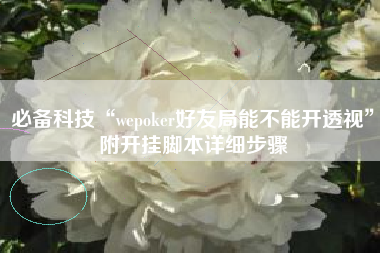 必备科技“wepoker好友局能不能开透视”附开挂脚本详细步骤