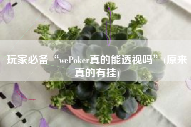 玩家必备“wePoker真的能透视吗	”(原来真的有挂)