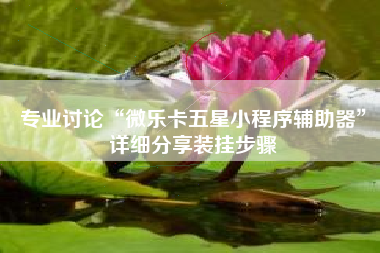 专业讨论“微乐卡五星小程序辅助器”详细分享装挂步骤