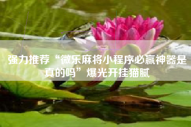 强力推荐“微乐麻将小程序必赢神器是真的吗	”爆光开挂猫腻