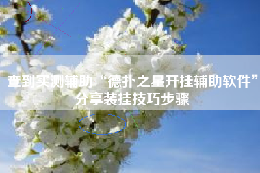 查到实测辅助“德扑之星开挂辅助软件”分享装挂技巧步骤