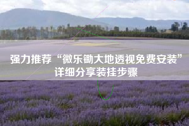 强力推荐“微乐锄大地透视免费安装”详细分享装挂步骤
