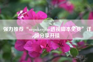 强力推荐“wepokerplus透视脚本免费”详细分享开挂