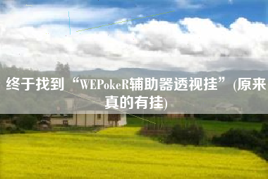 终于找到“WEPokeR辅助器透视挂	”(原来真的有挂)