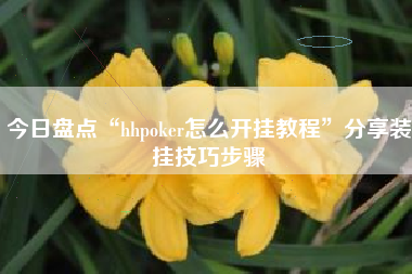 今日盘点“hhpoker怎么开挂教程”分享装挂技巧步骤