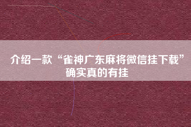 介绍一款“雀神广东麻将微信挂下载”确实真的有挂