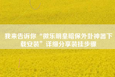 我来告诉你“微乐明皇暗保外卦神器下载安装”详细分享装挂步骤