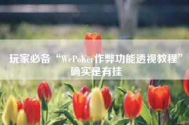 玩家必备“WePoKer作弊功能透视教程”确实是有挂