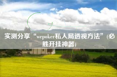 实测分享“wepoker私人局透视方法”(必胜开挂神器)