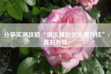 分享实测攻略“微乐辅助器免费开挂”(真的有挂)