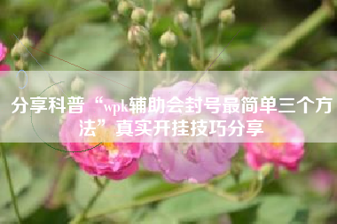 分享科普“wpk辅助会封号最简单三个方法	”真实开挂技巧分享
