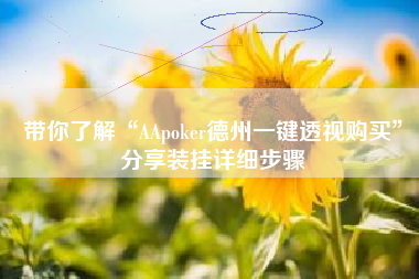 带你了解“AApoker德州一键透视购买	”分享装挂详细步骤