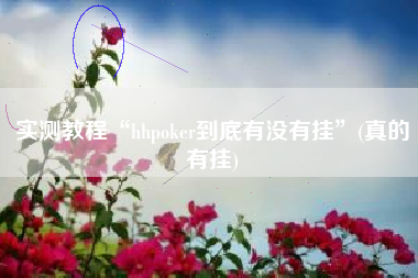 实测教程“hhpoker到底有没有挂”(真的有挂)