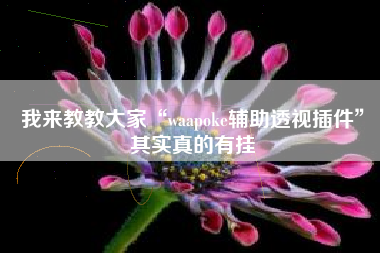 我来教教大家“waapoke辅助透视插件	”其实真的有挂